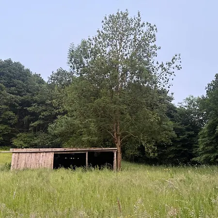 Waldberg Privatunterkunft